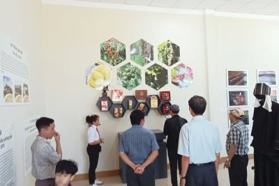 gày 20/02/2025. Đội tuyên truyền măng non trường TH Y Ngông được Vinh dự đón quý thầy cô Nguyên là Hiệu truởng các truờng học ở Đà Nẵng về tham quan Bến nước và Khu văn hóa Buôn Klia🪻