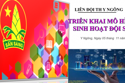 Sinh hoạt Đội số là mô hình mới do Hội đồng Đội thị xã Buôn Hồ phát động Liên đội tổ chức hướng dẫn thiếu nhi tham gia trải nghiệm học tập và khám phá. Tại trường TH Y Ngông, mô hình đã và đang được triển khai với nhiều nội dung hoạt động bổ ích, lý thú phù hợp với lứa tuổi, được xem là sân chơi bổ ích, góp phần nâng cao năng lực số cho thiếu nhi.  Ngày 5 tháng 11 năm 2023 Liên đội đã triển khai bước đầu với nội dung “Sinh hoạt Đội số”.